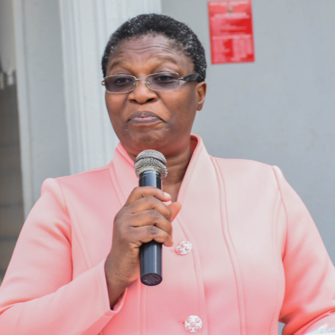 Chairman Board of Directors - Mrs. Oluranti Okanlawon